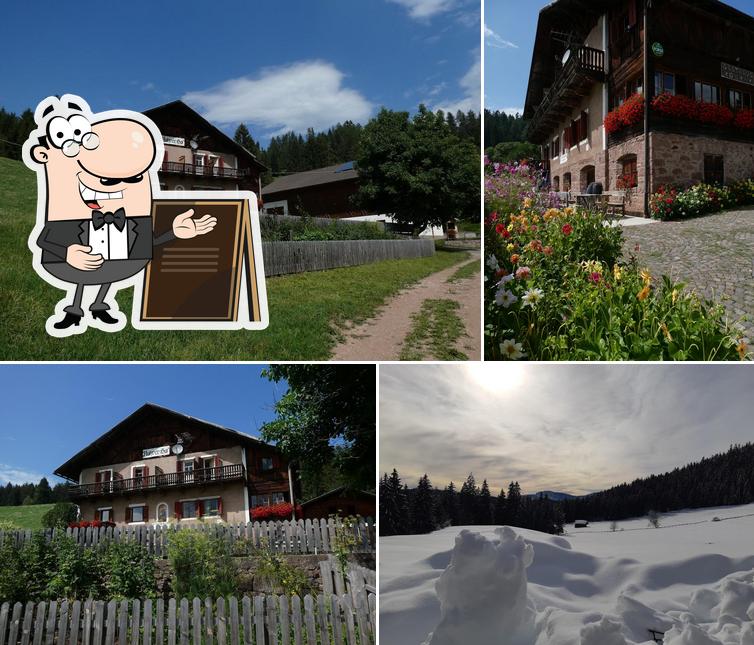 Rohrerhof