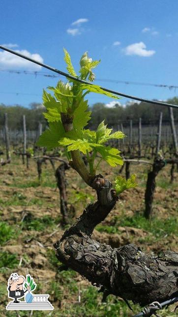 Guarda gli esterni di Poggio Molina