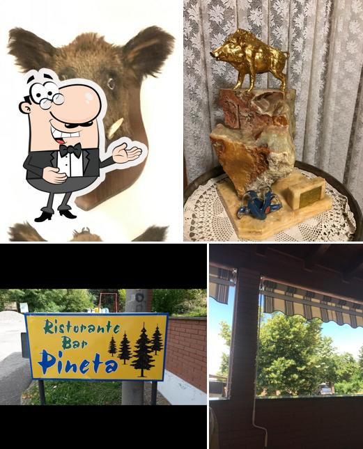 Albergo Ristorante Pineta