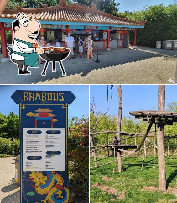 Voici une photo de Restaurant Asiatique Les Bambous Zoo Parc de Beauval Saint Aignan