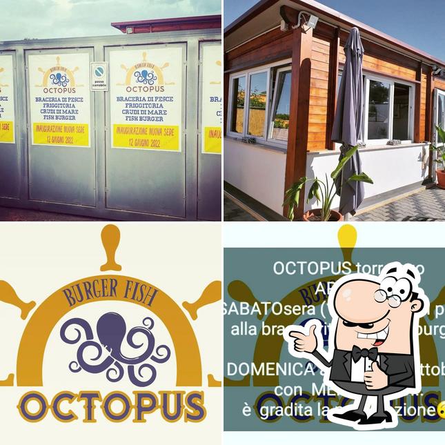 Immagine di Octopus torreovo