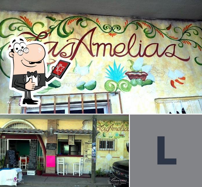 Las Amelias restaurant, Bucerías Restaurant reviews