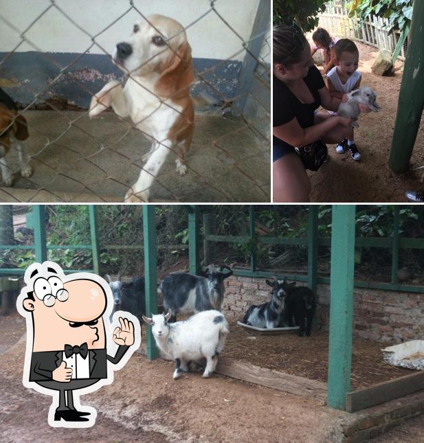 Look at the photo of Fazenda Angolana