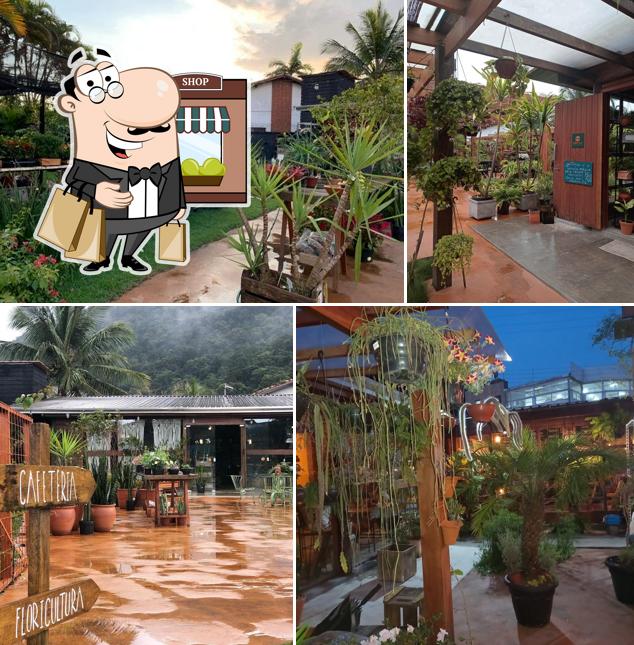 Veja imagens do exterior do Casa Tropical