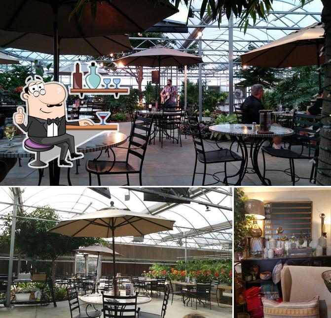 Alldredge Gardens Cafe Midland Texas Fasci Garden
