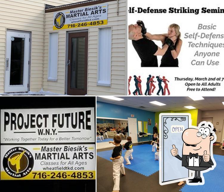 Master Biesik's Martial Arts in North Tonawanda Restaurant reviews
