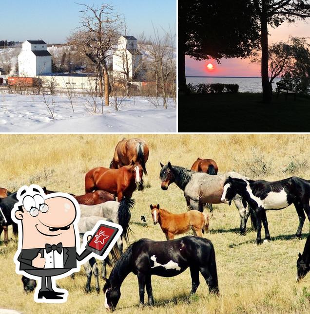 DeWinton Ranch in Canada - Restaurant reviews