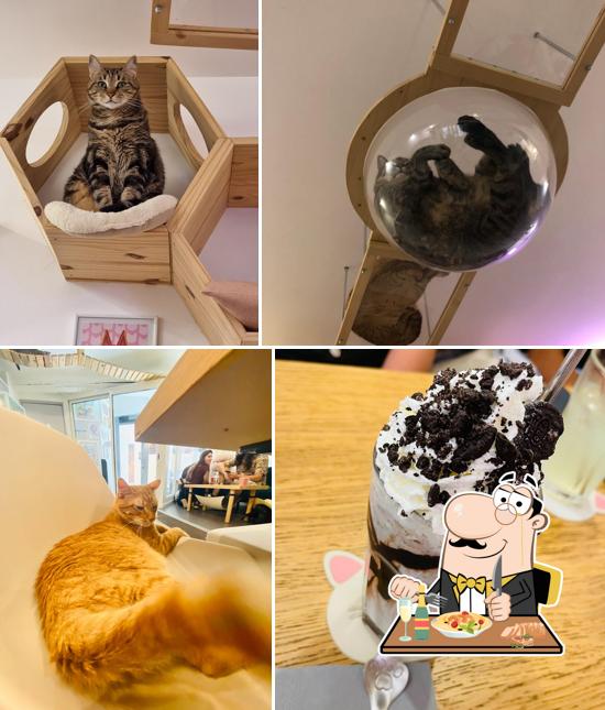 Plats à Meow Cats Café