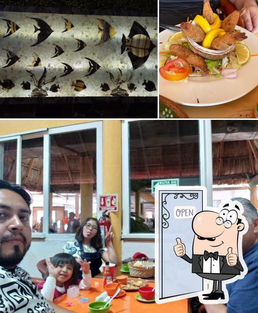 Mariscos Mi Lindo Mazatlan restaurant, Ixtapaluca - Restaurant reviews