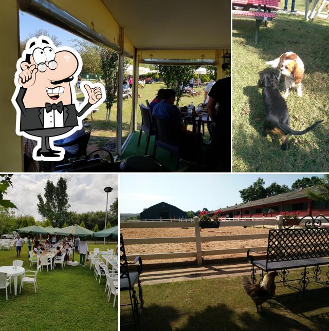 Happy Dogs Kennel, Ömerli Mahallesi, Sırapınar Mah. Tüylü Çayır Sk. 38/
