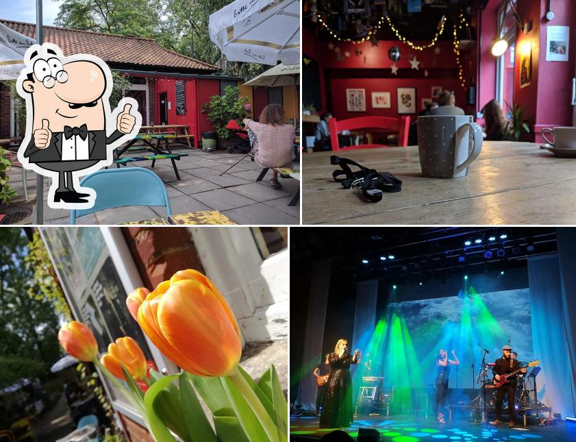 Norwich Playhouse in Norwich Restaurant reviews