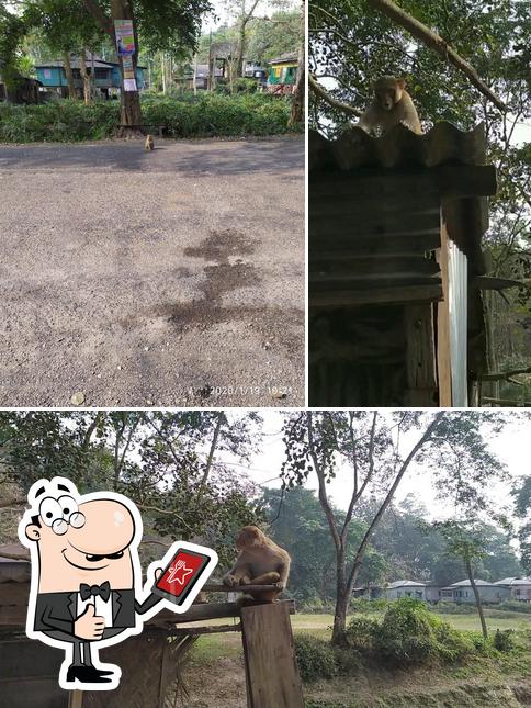 কাকার ঘুগনির দোকান