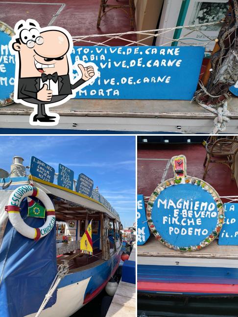 Guarda la foto di Acquamarina - navigare per Chioggia