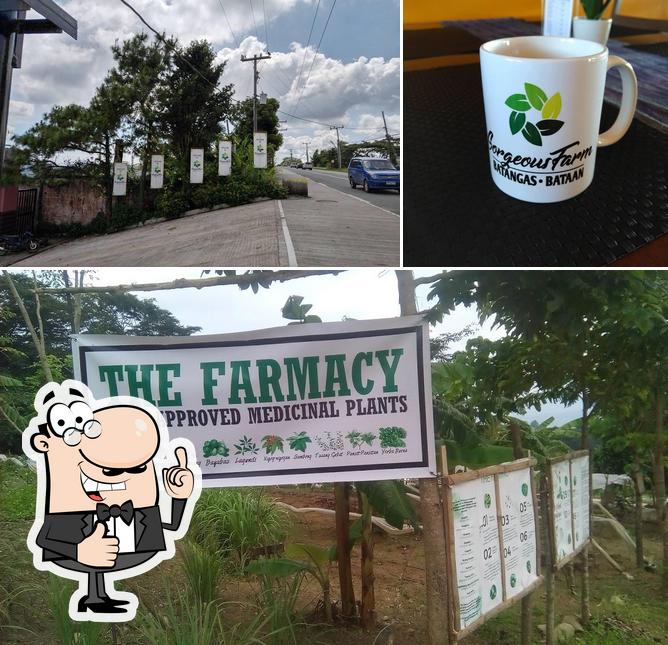 Gorgeous Farm Tagaytay Ridge restaurant, Alfonso - Restaurant reviews