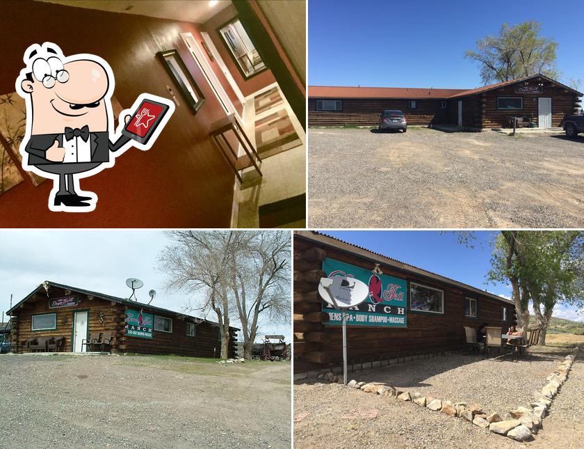 The Dovetail Ranch in Carlin Restaurant reviews