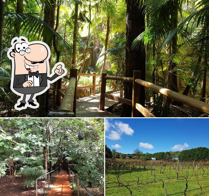 Glow Worm Caves in Tamborine Mountain Restaurant reviews