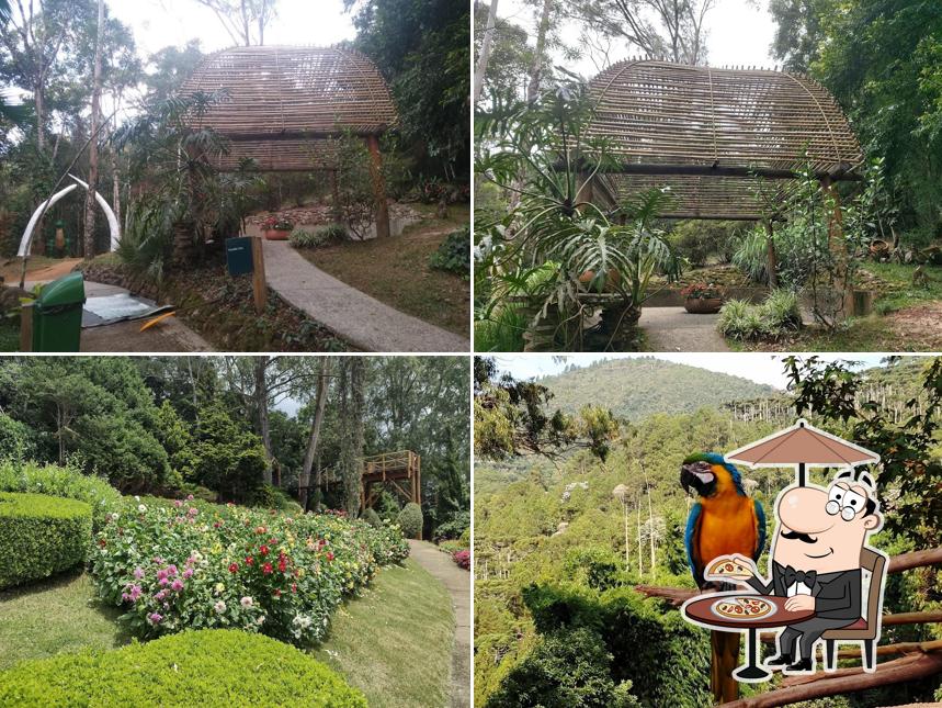 Jardim dos Pinhais Ecco Parque