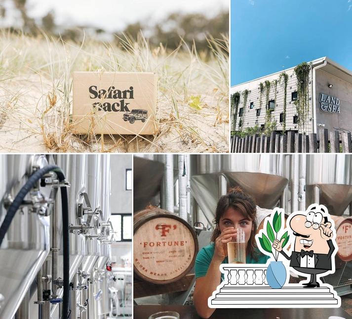 Land & Sea Brewery in Noosaville Restaurant reviews