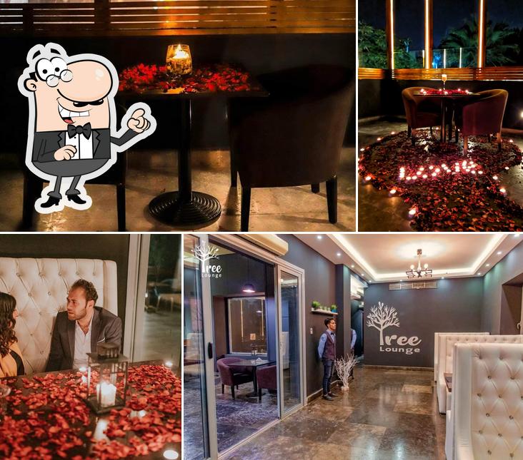Tree Lounge Maadi Branch restaurant, Egypt Restaurantbewertungen