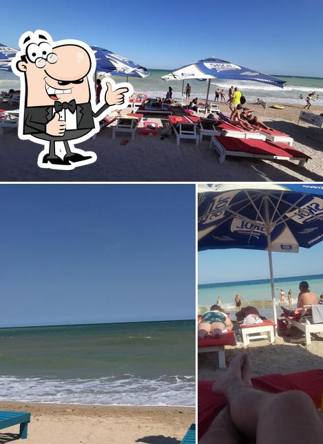 Regarder l'image de Zmai BEACH-BAR