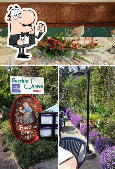 Restaurant Bacchus-Stuben, Bad Bellingen - Restaurant Reviews