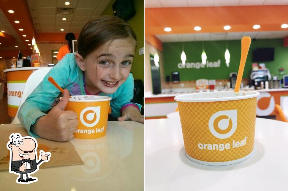 Orange Leaf Frozen Yogurt, 13379 15 Mile Rd in Sterling Heights Restaurant menu and reviews