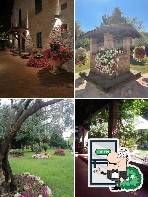 La Contea di Montale