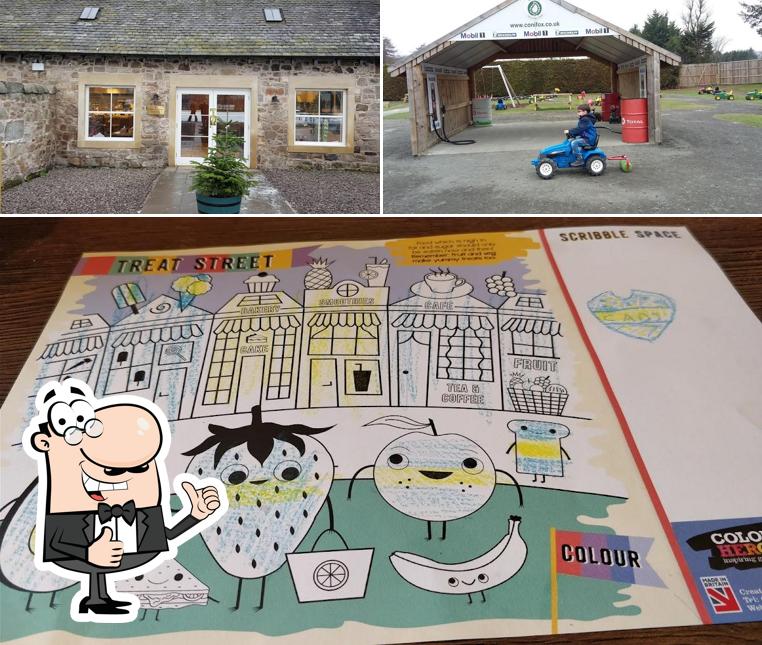 Conifox Adventure Park in Edinburgh Restaurant menu and reviews