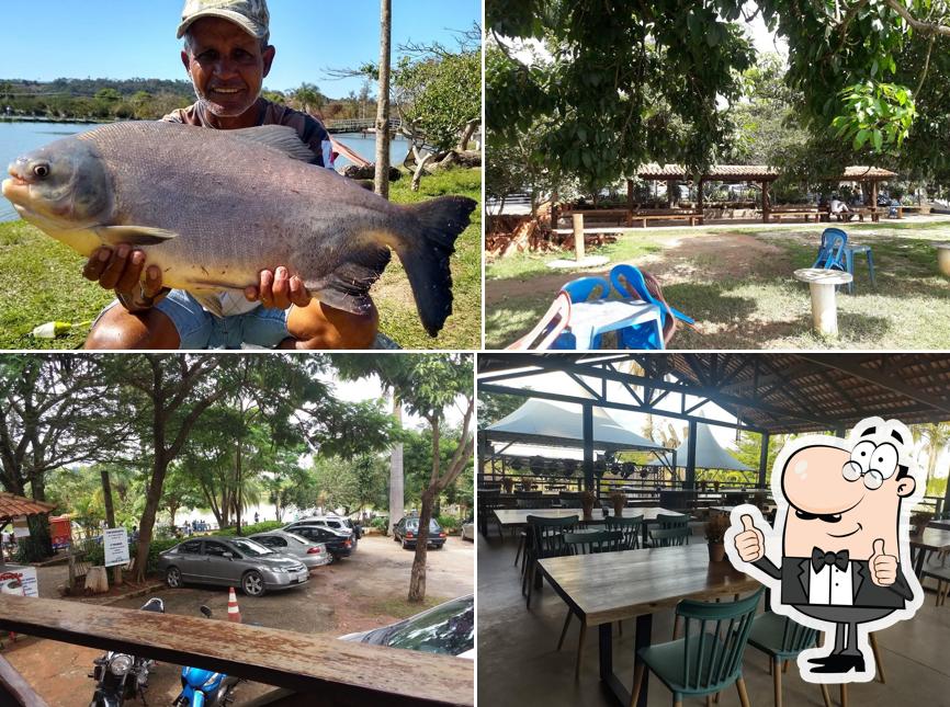 Pesque e Solte Peixe & Boi