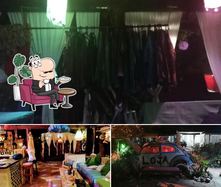 O interior do Célula Tronco