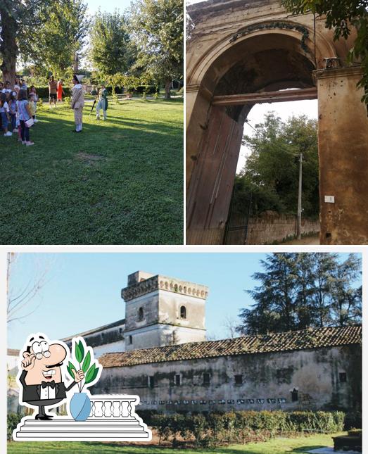 Guarda gli esterni di Casale di Teverolaccio