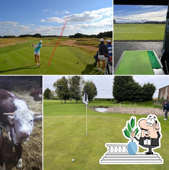 Wellsgreen Golf Range in Leven Restaurant reviews