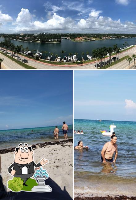 Kikar TelAviv in Miami Beach Restaurant menu and reviews