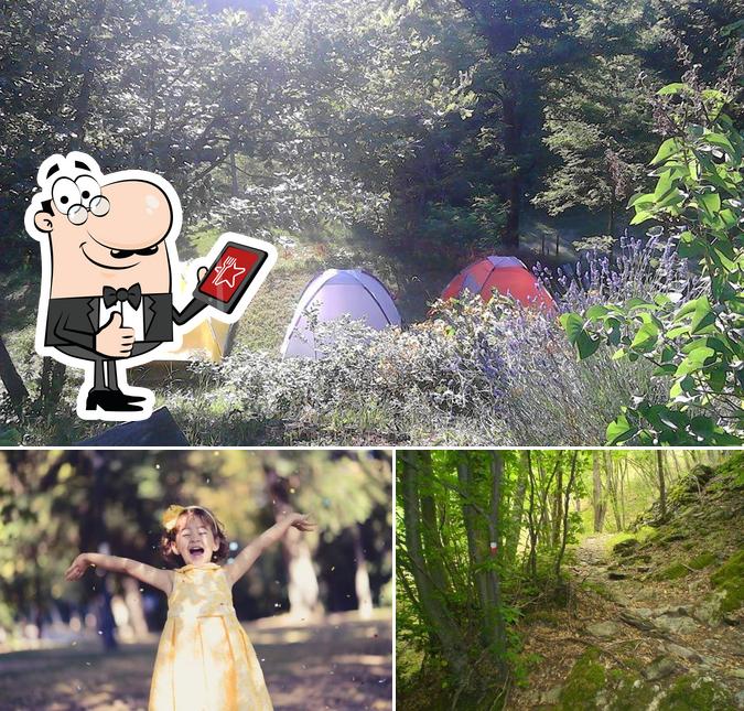 Ecco un'immagine di Eco Bio Camping Montequestiolo