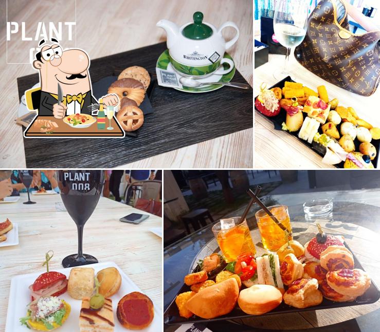 PLANT 008...cigari coffee snack & drink..