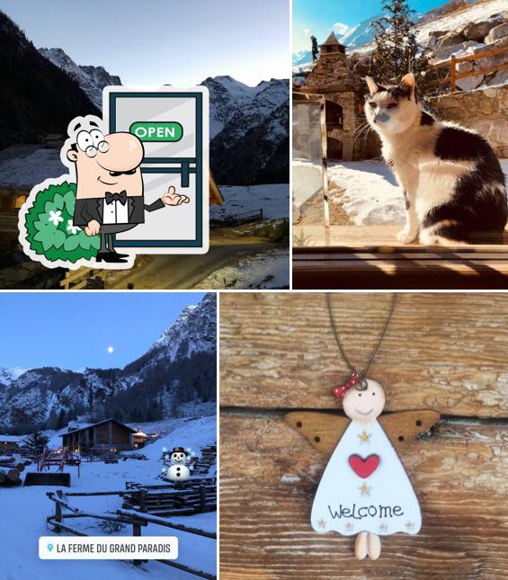 La Ferme du Grand Paradis