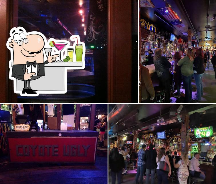 Coyote Ugly Saloon, 501 E 6th St in Austin - Restaurant menu and reviews