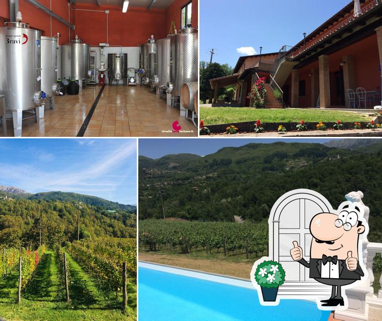 Cantina Bravi Alessandro Vino della Garfagnana