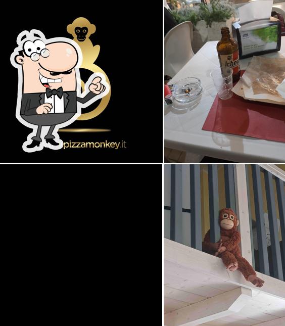 Pizzeria Bistrot Monkey