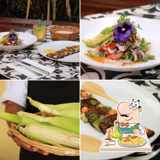 Apoala restaurant, Merida Restaurant menu and reviews