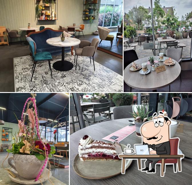 Maygarden Café cafe, Kassel Restaurantbewertungen