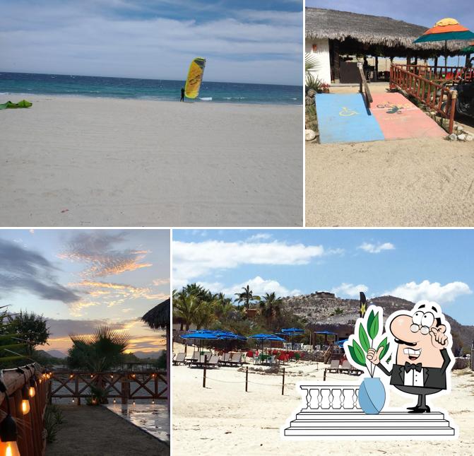 El Gecko Beach Club, Los Barriles, La Besucona s/n los Barriles. JC -  Restaurant reviews