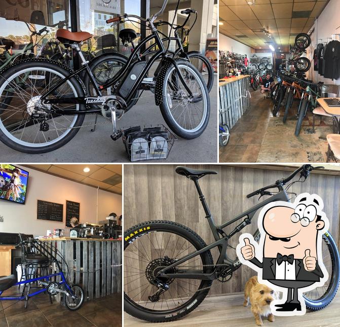 Flagler Bike N' Coffee Shop, 109 Flagler Plaza Dr in Palm Coast
