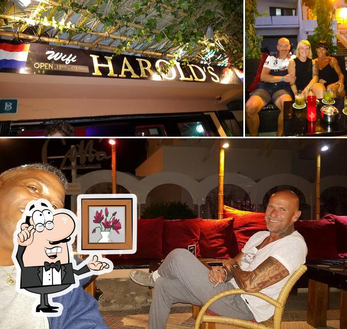 В Harold's Bar есть внутреннее оформление, барная стойка и многое другое