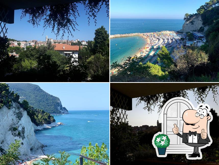 Gli esterni di Hotel Conchiglia Verde