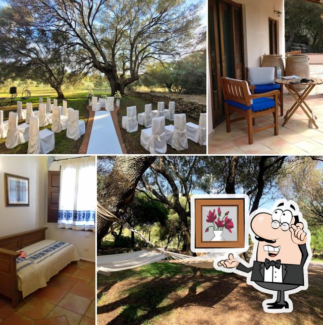 Felix Hotels - Hotel Parco degli Ulivi