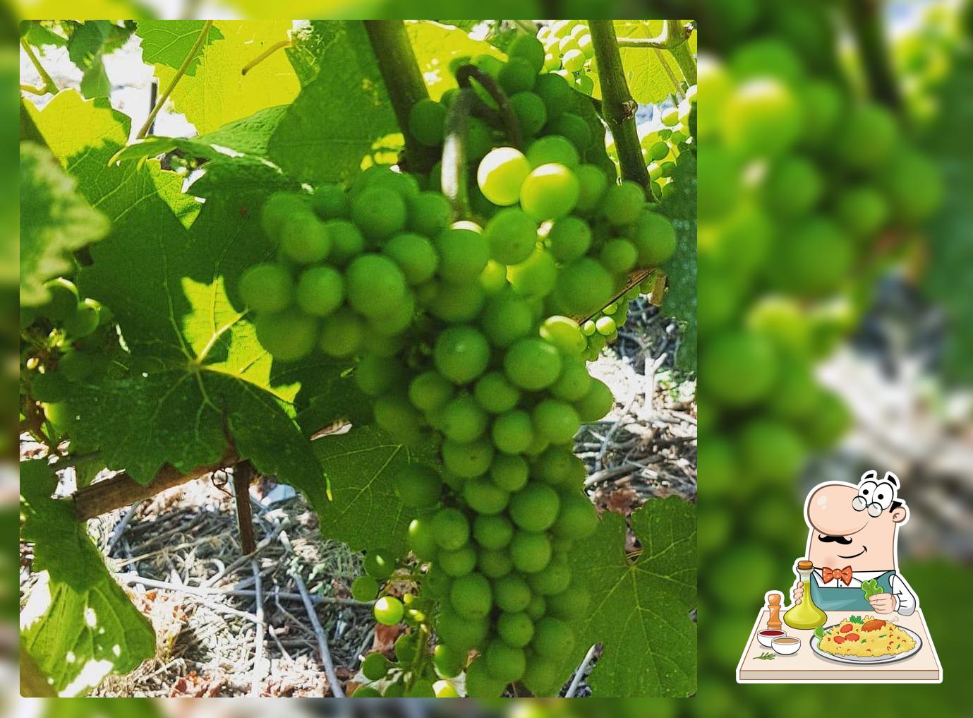 Vins "Caprice du Temps"