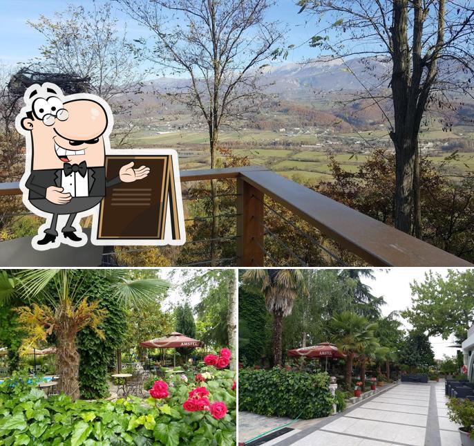 TARZANI Bar Restaurant Piceri