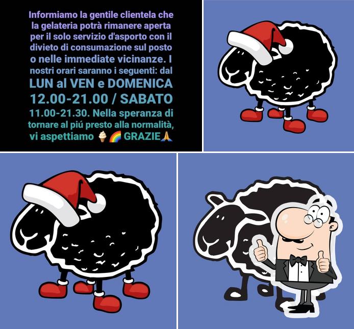 Gelateria Lapecoranera