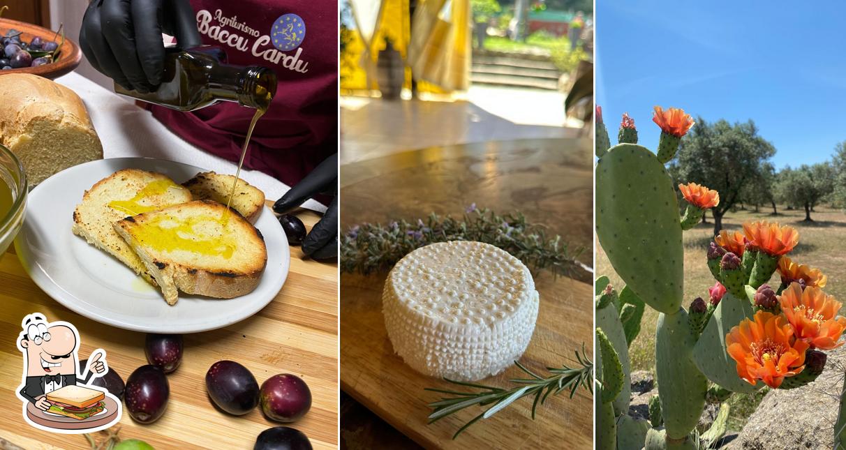 Agriturismo Baccu Cardu